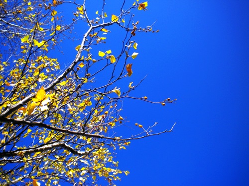 1640850446119805.jpg 1_100929132031_1.jpg